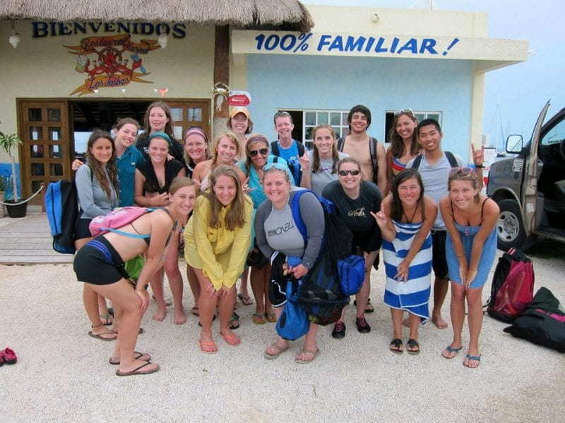 Whale shark diving with students in Akumal, Mexico
